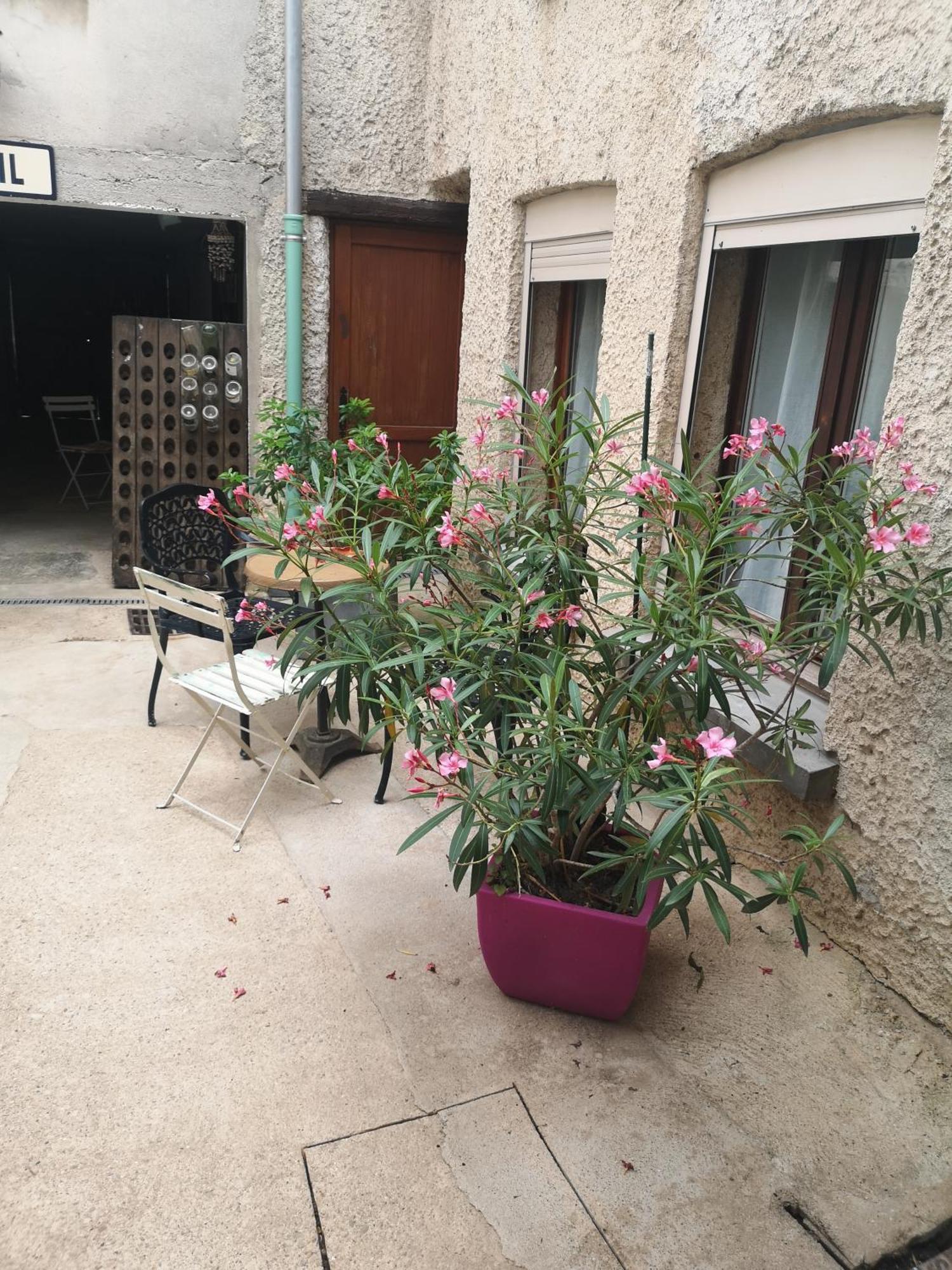 Cottage Au Terminus هاوتفيليرز المظهر الخارجي الصورة